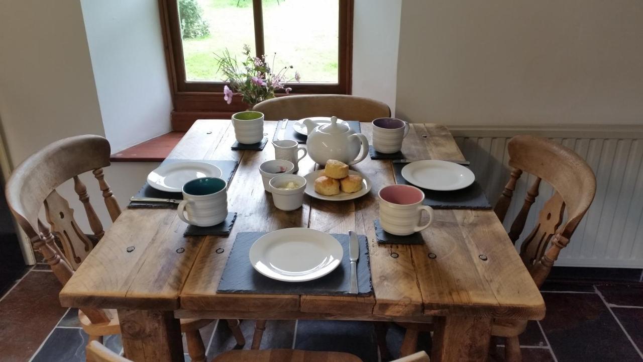 Coopers Cottage Dog Friendly North Cornwall Delabole エクステリア 写真